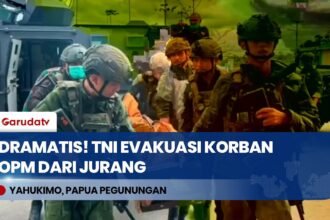 Dramatis! Satgas TNI Evakuasi Jenazah Korban Serangan OPM dari Jurang Sedalam 50 Meter