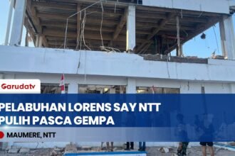 Pelabuhan Lorens Say Maumere Mulai Pulih Pasca-Gempa M 7,7 NTT, Mendagri Tito Cek Operasional