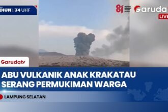 Gunung Anak Krakatau Erupsi Puluhan Kali, Abu Vulkanik Masuk Rumah Warga Pulau Sebesi
