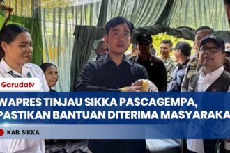 Tinjau Pasca-Gempa Sikka NTT, Wapres Gibran Pastikan Penanganan Darurat Tepat Sasaran