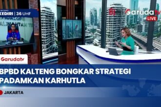 Strategi BPBD Kalteng Cegah Karhutla Meluas: Pemadaman Darat dan Udara Dikerahkan