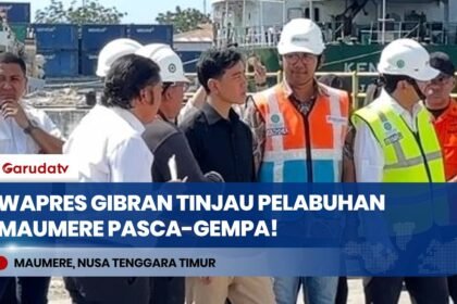Wapres Gibran Tinjau Pelabuhan Maumere Terdampak Gempa, Instruksikan Pemulihan Cepat