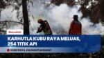 Karhutla di Kubu Raya Meluas: 254 Titik Api Terdeteksi, Pemadaman Darat dan Udara Dikerahkan
