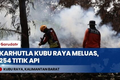 Karhutla di Kubu Raya Meluas: 254 Titik Api Terdeteksi, Pemadaman Darat dan Udara Dikerahkan