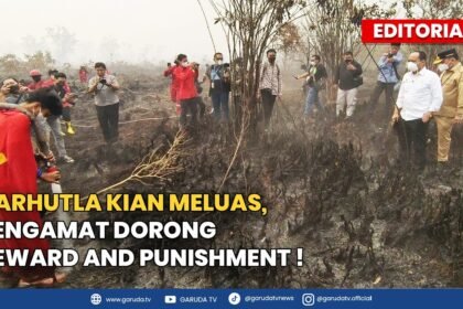 Atasi Karhutla Kalimantan, Pengamat Desak Pemerintah Terapkan Skema Sanksi dan Insentif