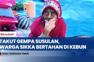 Trauma Gempa Susulan, 1.203 Warga Sikka Bertahan di Pengungsian Mandiri Kebun