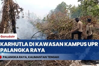 Karhutla Ditemukan di Sekitar Kampus UPR, Petugas Gabungan Palangka Raya Tembak Titik Asap
