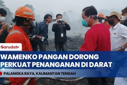 Tinjau Karhutla Kalteng, Wamenko Pangan Minta Operasi Darat Diperkuat & Jangan Cuma Arahkan OMC