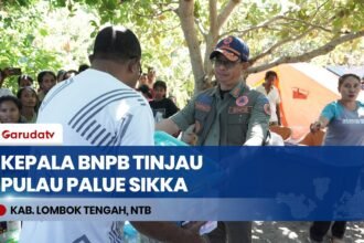 Tinjau Pulau Palue, Kepala BNPB Pastikan 954 Ton Bantuan Logistik Gempa NTT Terdistribusi