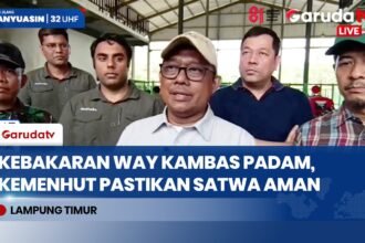 Kemenhut Libatkan Polisi Usut Kebakaran 600 Hektare Lahan TN Way Kambas, Duga Ada Unsur Kesengajaan