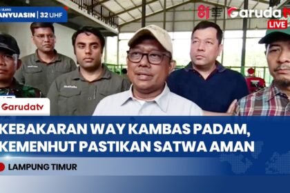 Kemenhut Libatkan Polisi Usut Kebakaran 600 Hektare Lahan TN Way Kambas, Duga Ada Unsur Kesengajaan