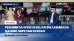Instruksi Presiden Prabowo, Pemerintah Siapkan Pemetaan Daerah Demi Swasembada Daging