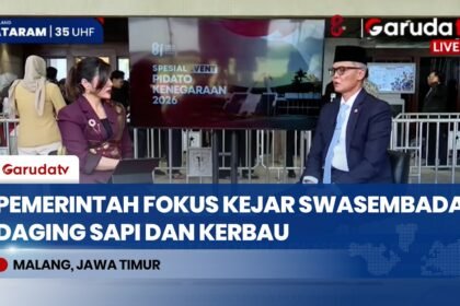 Instruksi Presiden Prabowo, Pemerintah Siapkan Pemetaan Daerah Demi Swasembada Daging