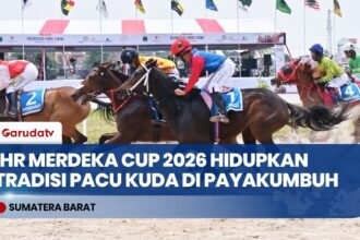 Sarga.co Gelar Indonesia’s Horse Racing Merdeka Cup 2026, Hidupkan Tradisi Pacu Kuda Sumbar