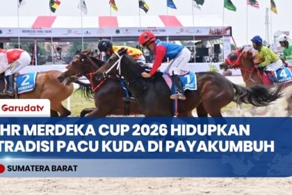 Sarga.co Gelar Indonesia’s Horse Racing Merdeka Cup 2026, Hidupkan Tradisi Pacu Kuda Sumbar