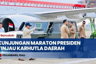 Kunjungan Maraton Presiden Prabowo Tinjau Karhutla dari Kalimantan Hingga Sumatra!