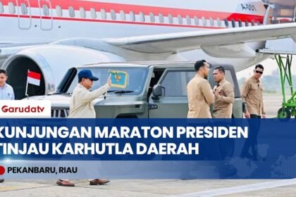Kunjungan Maraton Presiden Prabowo Tinjau Karhutla dari Kalimantan Hingga Sumatra!