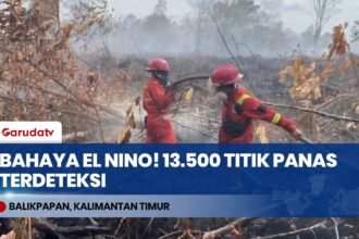 Bahaya El Nino! 13.500 Titik Panas Terdeteksi di Kalimantan Timur, Berau & Kutai Paling Tinggi