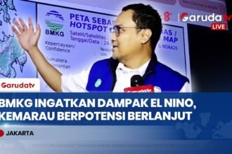 Waspada El Nino Berlanjut Hingga Akhir Tahun, BMKG Minta Masyarakat Cegah Pemicu Karhutla