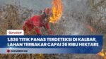Karhutla Sumatra dan Kalimantan Makin Parah: BNPB Catat Kalbar Terluas Capai 36 Ribu Hektar