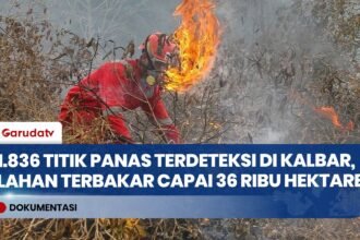 Karhutla Sumatra dan Kalimantan Makin Parah: BNPB Catat Kalbar Terluas Capai 36 Ribu Hektar