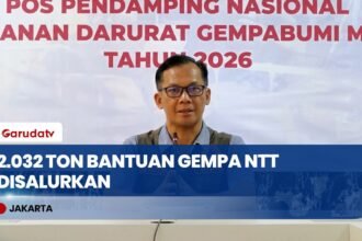 BNPB Salurkan 2.032 Ton Bantuan Logistik Gempa NTT Melalui Jalur Darat, Laut, dan Udara