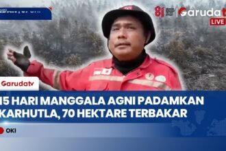 15 Hari Karhutla OKI Tak Kunjung Padam, Manggala Agni Berjibaku Jinakkan Api di 70 Hektar
