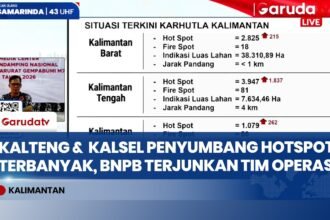 Karhutla Kalimantan Siaga Satu! BNPB Catat Kalteng Diserbu 3.947 Titik Panas