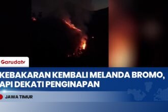Kebakaran Lereng Semeru Meluas, 170 Pendaki di Ranu Kumbolo Dievakuasi Darurat