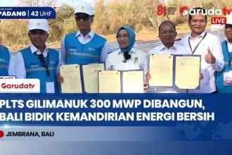 Proyek Raksasa PLTS 1.000 MWp Dimulai, Bali Hemat 151 Ribu Kiloliter BBM per Tahun