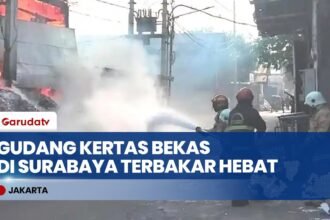 Kebakaran Hebat Gudang Kertas Bekas di Surabaya, Diduga Akibat Puntung Rokok