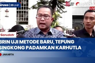 Kepala BRIN Sebut Penggunaan Tepung Singkong Masuk Akal Padamkan Karhutla