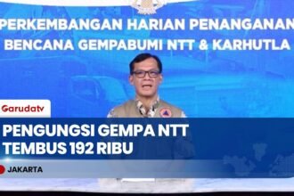 Pengungsi Gempa NTT Bertambah 16.394 Jiwa, BNPB Catat 9.278 Gempa Susulan