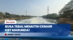Resahkan Warga! Limbah Busa Memutih Bak Salju Kembali Cemari KBT Marunda