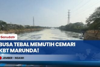 Resahkan Warga! Limbah Busa Memutih Bak Salju Kembali Cemari KBT Marunda