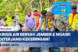 Kekeringan Meluas! BPBD Distribusikan Air Bersih & Tandon ke Jember dan Ngawi