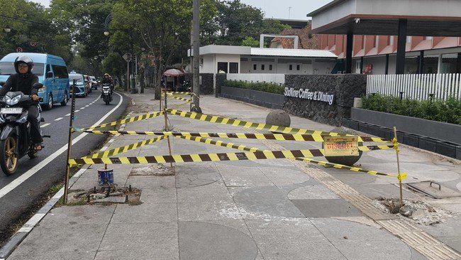 Terkuak Penyebab 10 Pohon di Trotoar Bandung Kena Tebang Liar : Menghalangi Videotron Padel