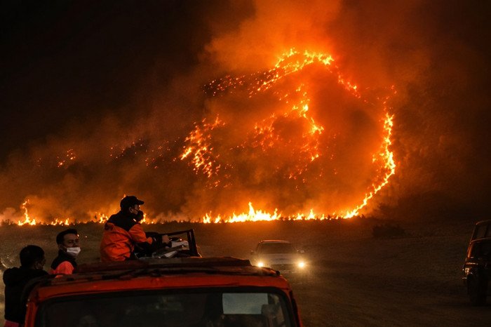 Kebakaran hutan yang meluas di Kaldera Bromo membuat TNBTS menutup lima akses wisata untuk mendukung pemadaman dan menjaga keselamatan pengunjung.