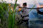 Karhutla di kawasan Taman Nasional Way Kambas berhasil dipadamkan, sementara personel gabungan melanjutkan pembasahan dan patroli.