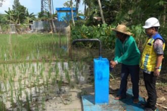Jaringan Irigasi Air Tanah (JIAT) dimanfaatkan untuk menjaga pasokan air lahan pertanian di Kabupaten Banjar, Kalimantan Selatan, saat ancaman El Nino.