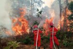 Petugas gabungan memperkuat operasi darat dan udara untuk mencegah meluasnya kebakaran hutan dan lahan di wilayah rawan karhutla.