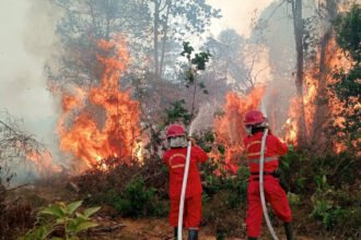 Petugas gabungan memperkuat operasi darat dan udara untuk mencegah meluasnya kebakaran hutan dan lahan di wilayah rawan karhutla.
