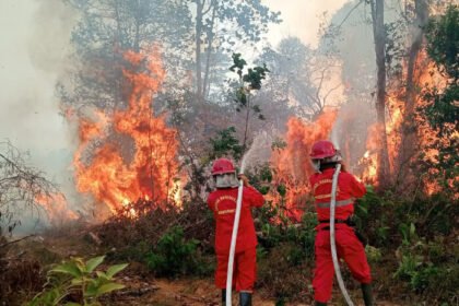 Petugas gabungan memperkuat operasi darat dan udara untuk mencegah meluasnya kebakaran hutan dan lahan di wilayah rawan karhutla.