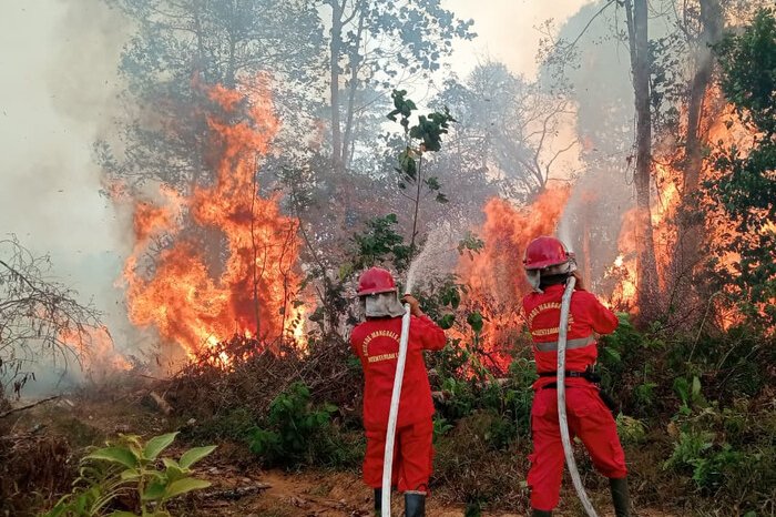 Petugas gabungan memperkuat operasi darat dan udara untuk mencegah meluasnya kebakaran hutan dan lahan di wilayah rawan karhutla.