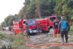 Pemerintah mengerahkan 12.880 personel gabungan untuk memperkuat penanganan karhutla di tiga provinsi prioritas Kalimantan.