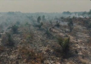 Pemerintah meningkatkan pengawasan titik api di Sumatera dan Kalimantan untuk menangani karhutla, menjaga kualitas udara dan mencegah polusi asap lintas negara.