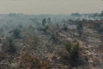 Pemerintah meningkatkan pengawasan titik api di Sumatera dan Kalimantan untuk menangani karhutla, menjaga kualitas udara dan mencegah polusi asap lintas negara.
