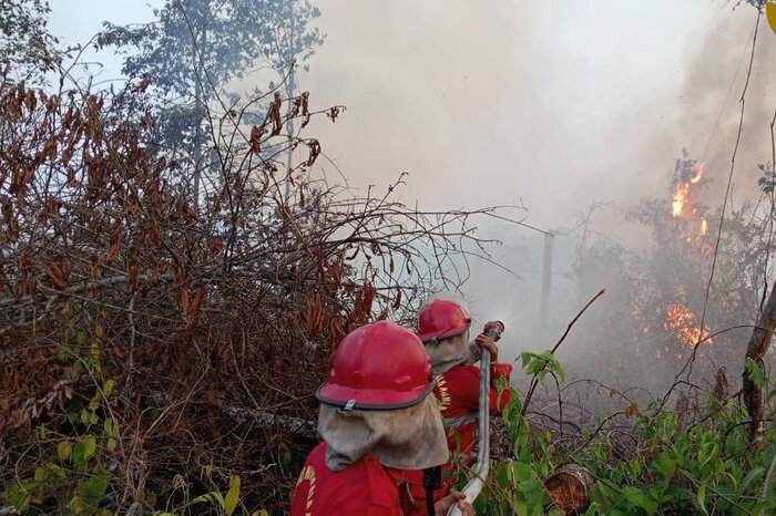 Kabut asap akibat aktivitas karhutla menyelimuti sejumlah wilayah Kalimantan Selatan ketika BMKG mendeteksi ratusan titik panas.