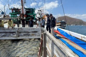 BULOG memastikan stok beras di NTT aman untuk tanggap darurat gempa dengan proyeksi ketersediaan mencapai 93.782 ton.