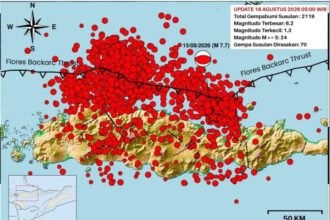 Ribuan gempa susulan masih mengguncang Flores setelah gempa utama M7,7 yang memicu tsunami di sejumlah wilayah.